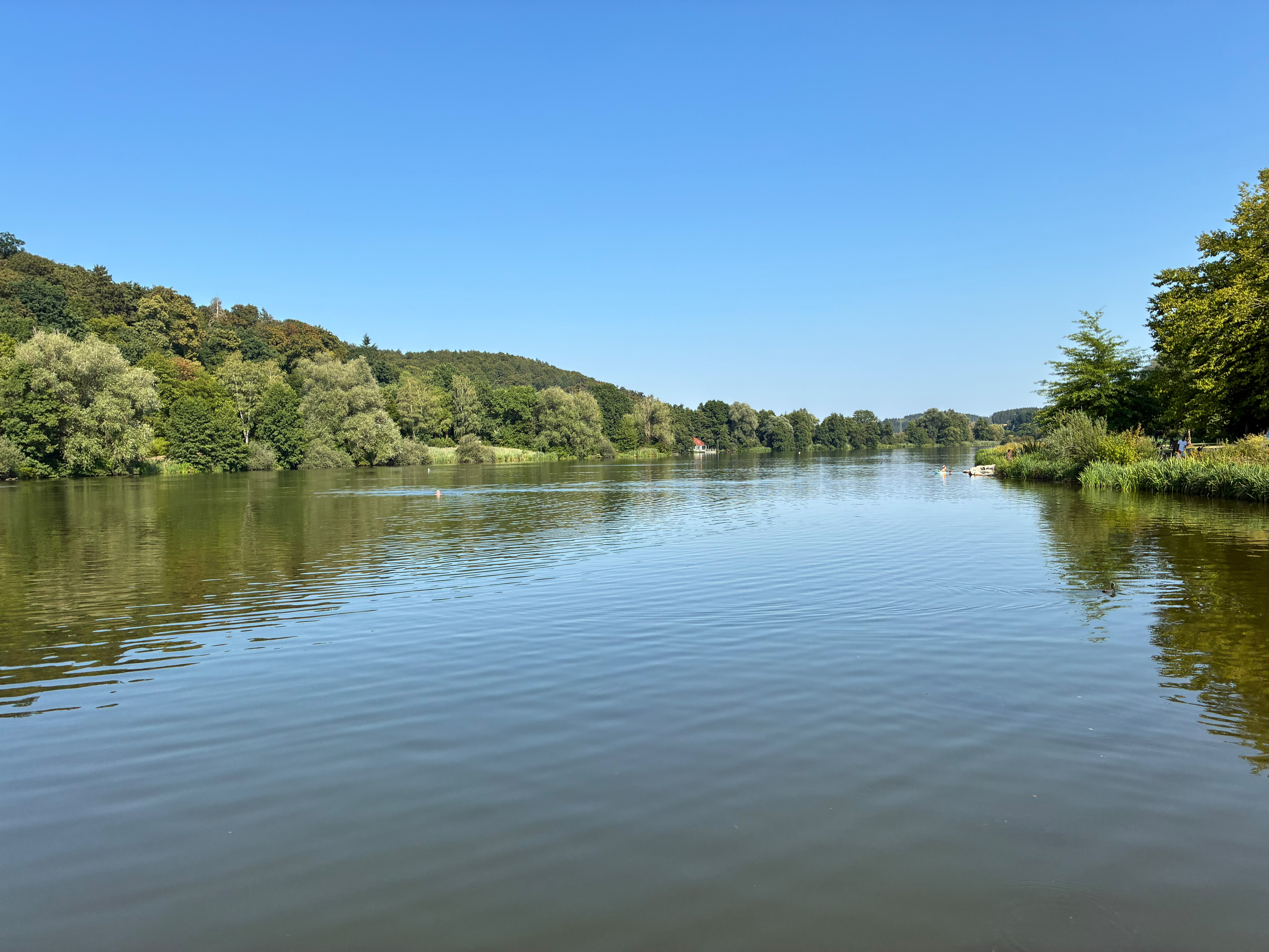 Weiter Blick über den ruhigen Rothsee bei Zusmarshausen, umgeben von bewaldeten Ufern unter blauem Himmel.